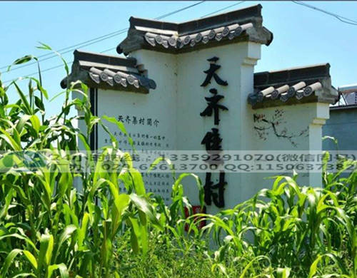 美麗鄉(xiāng)村村標(biāo)-蘭州村牌